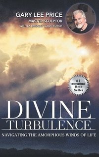 bokomslag Divine Turbulence