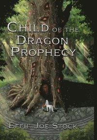 bokomslag Child of the Dragon Prophecy