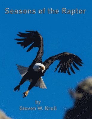 bokomslag Seasons of the Raptor