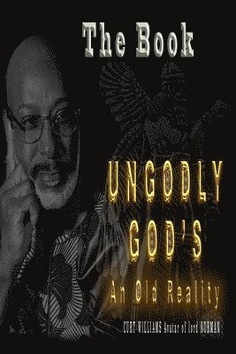 bokomslag Ungodly Gods