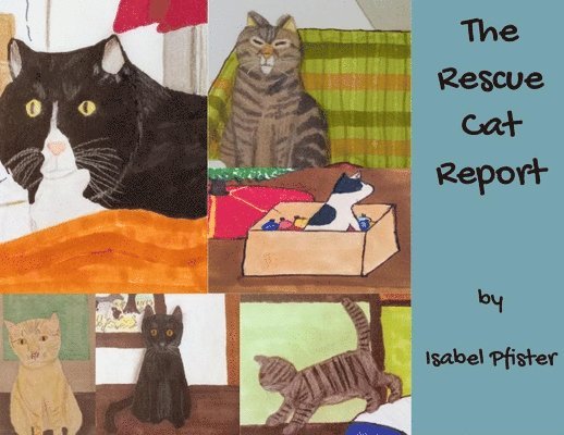 The Rescue Cat Report 1