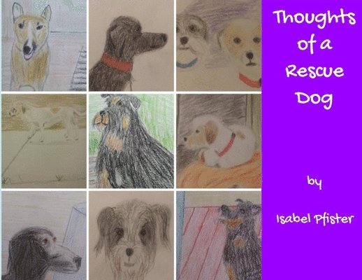 Thoughts of a Rescue Dog 1