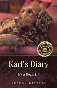 bokomslag Karl's Diary