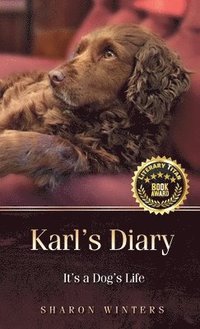 bokomslag Karl's Diary