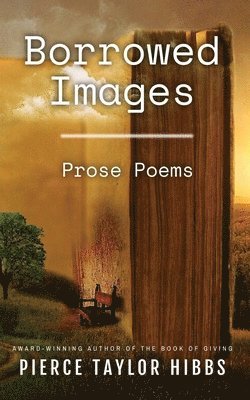 Pierce Taylor Hibbs - Borrowed Images, Häftad