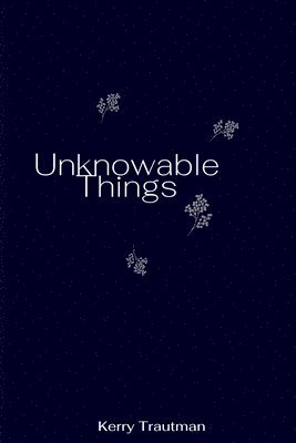 bokomslag Unknowable Things