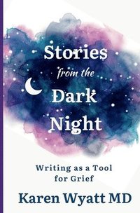 bokomslag Stories from the Dark Night