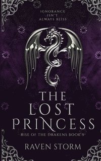 bokomslag Lost Princess