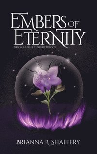 bokomslag Embers of Eternity