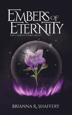 Embers of Eternity 1