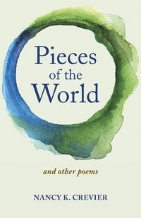 bokomslag Pieces of the World