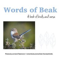 bokomslag Words of Beak