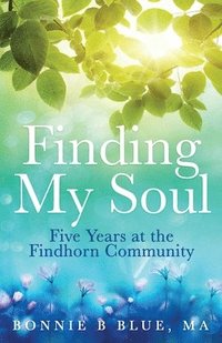 bokomslag Finding My Soul