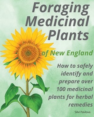 bokomslag Foraging Medicinal Plants of New England