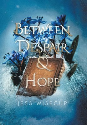 bokomslag Between Despair and Hope