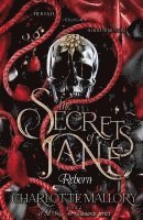 bokomslag Secrets of Jane