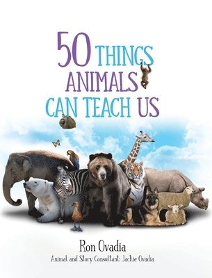 50 Things Animals Can Teach Us 1