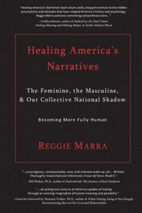 bokomslag Healing America's Narratives