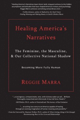 bokomslag Healing America's Narratives