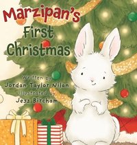 bokomslag Marzipan's First Christmas