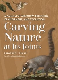 bokomslag Carving Nature at Its Joints