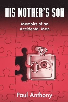 bokomslag His Mother's Son: Memoirs of An Accidental Man