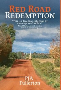 bokomslag Red Road Redemption