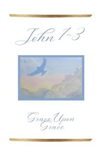 bokomslag John 1-3: Grace Upon Grace