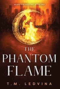 bokomslag Phantom Flame