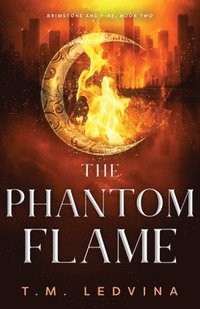 bokomslag The Phantom Flame
