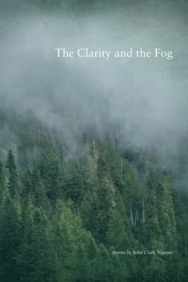 The Clarity and the Fog 1