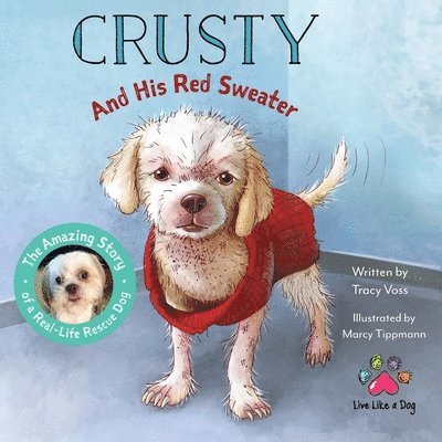 Crusty and His Red Sweater 1