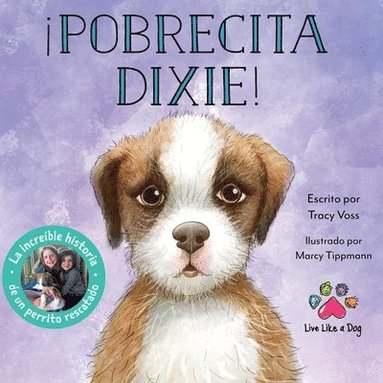 bokomslag !Pobrecita Dixie!