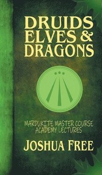 bokomslag Druids, Elves & Dragons