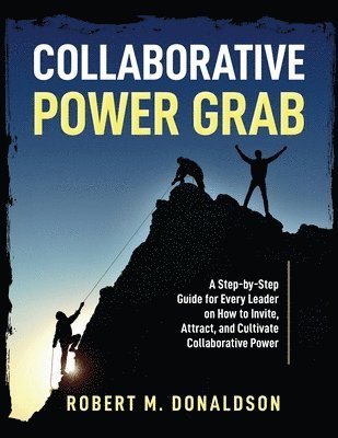 bokomslag Collaborative Power Grab