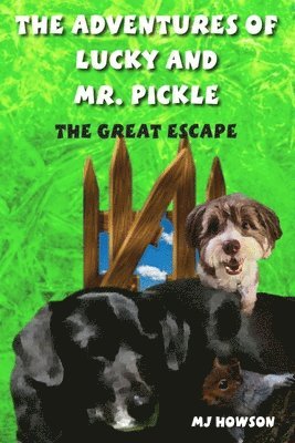 Mj Howson, MJ Howson - Adventures of Lucky and Mr. Pickle, Häftad