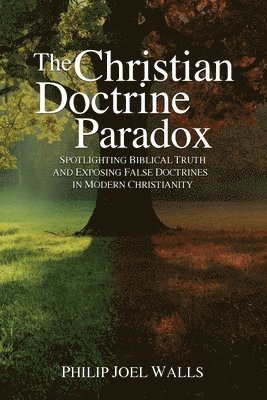 bokomslag Christian Doctrine Paradox