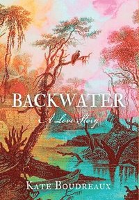 bokomslag Backwater