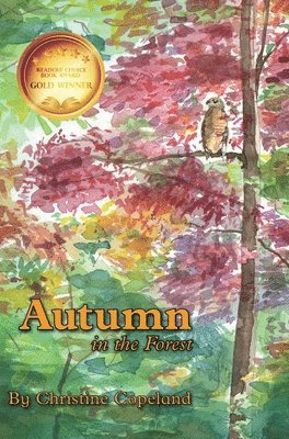 Autumn in the Forest 1