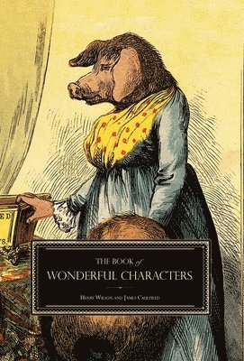 Henry Wilson, James Caulfield - Book of Wonderful Characters, Inbunden