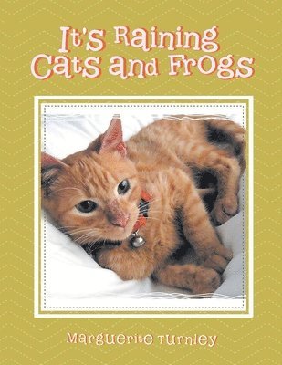 Marguerite Turnley - It's Raining Cats and Frogs, Häftad