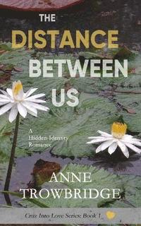 bokomslag The Distance Between Us
