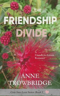 The Friendship Divide 1