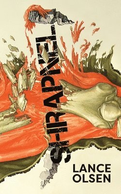 Lance Olsen - Shrapnel, Häftad
