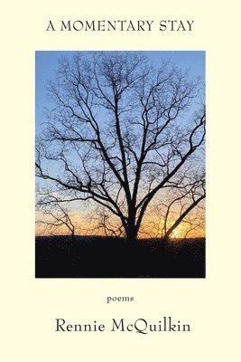 bokomslag Momentary Stay