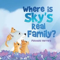 bokomslag Where Is Sky's Real Family?