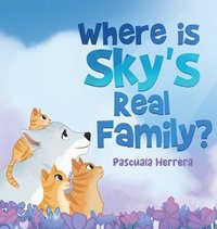 bokomslag Where Is Sky's Real Family?
