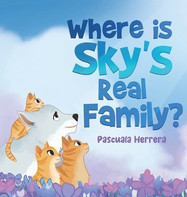 Where Is Sky's Real Family? 1