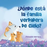 bokomslag Dnde Est la Familia Verdadera de Cielo?