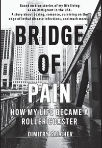 bokomslag Bridge of Pain